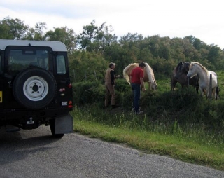 Viaje en 4x4 como pasajero 